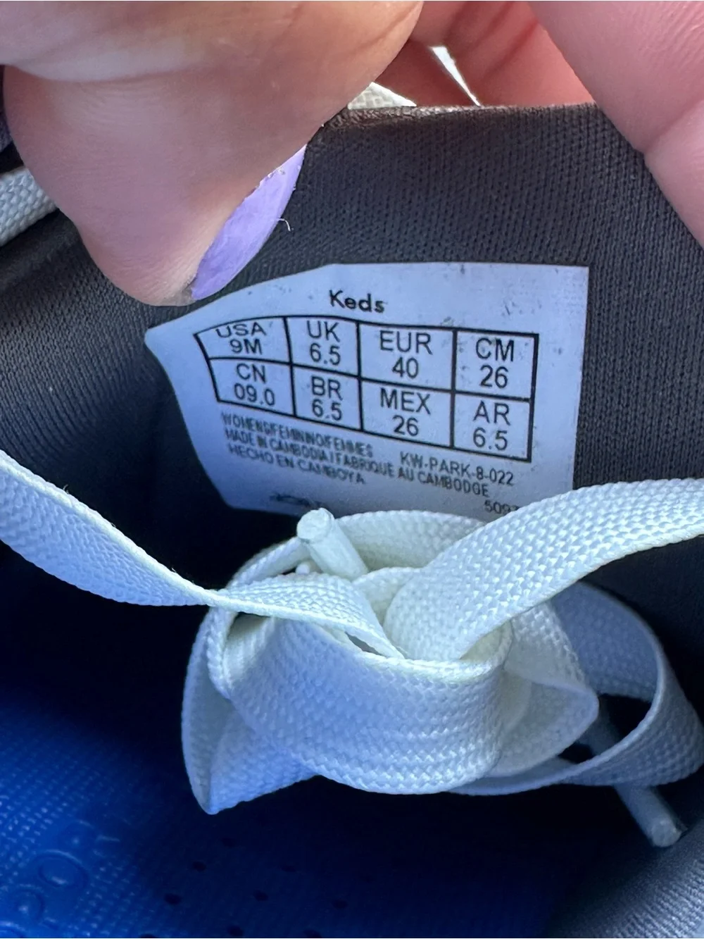 Keds Park Silver Metallic Low-Top Sneakers